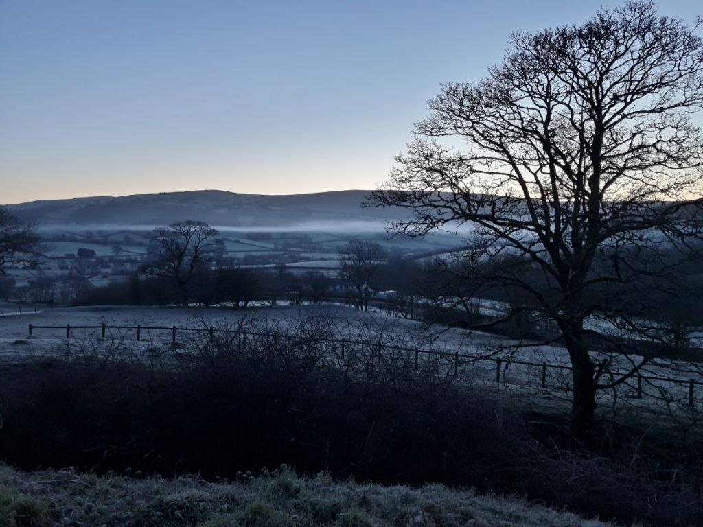 Bare trees in frosty weather as the dawn starts to break