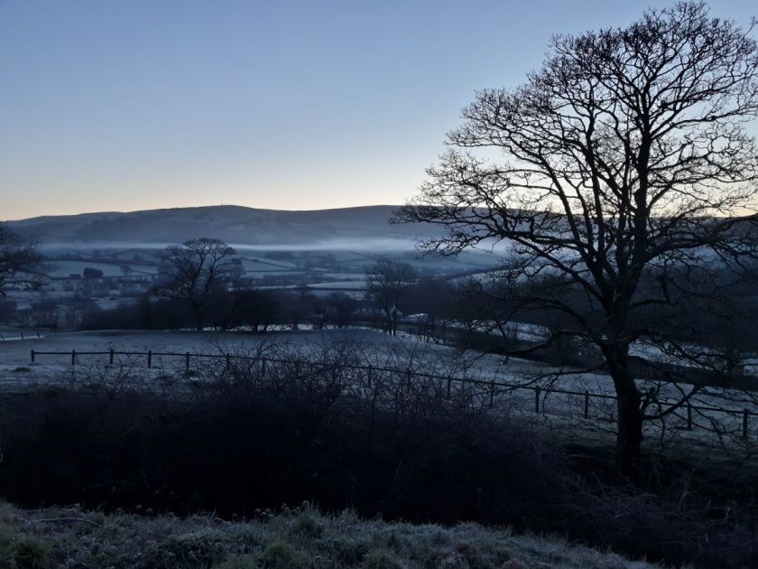 Bare trees in frosty weather as the dawn starts to break